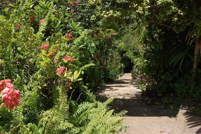 Inn At Shaw Park Gardens & Waterfalls Ocho Rios Eksteriør bilde