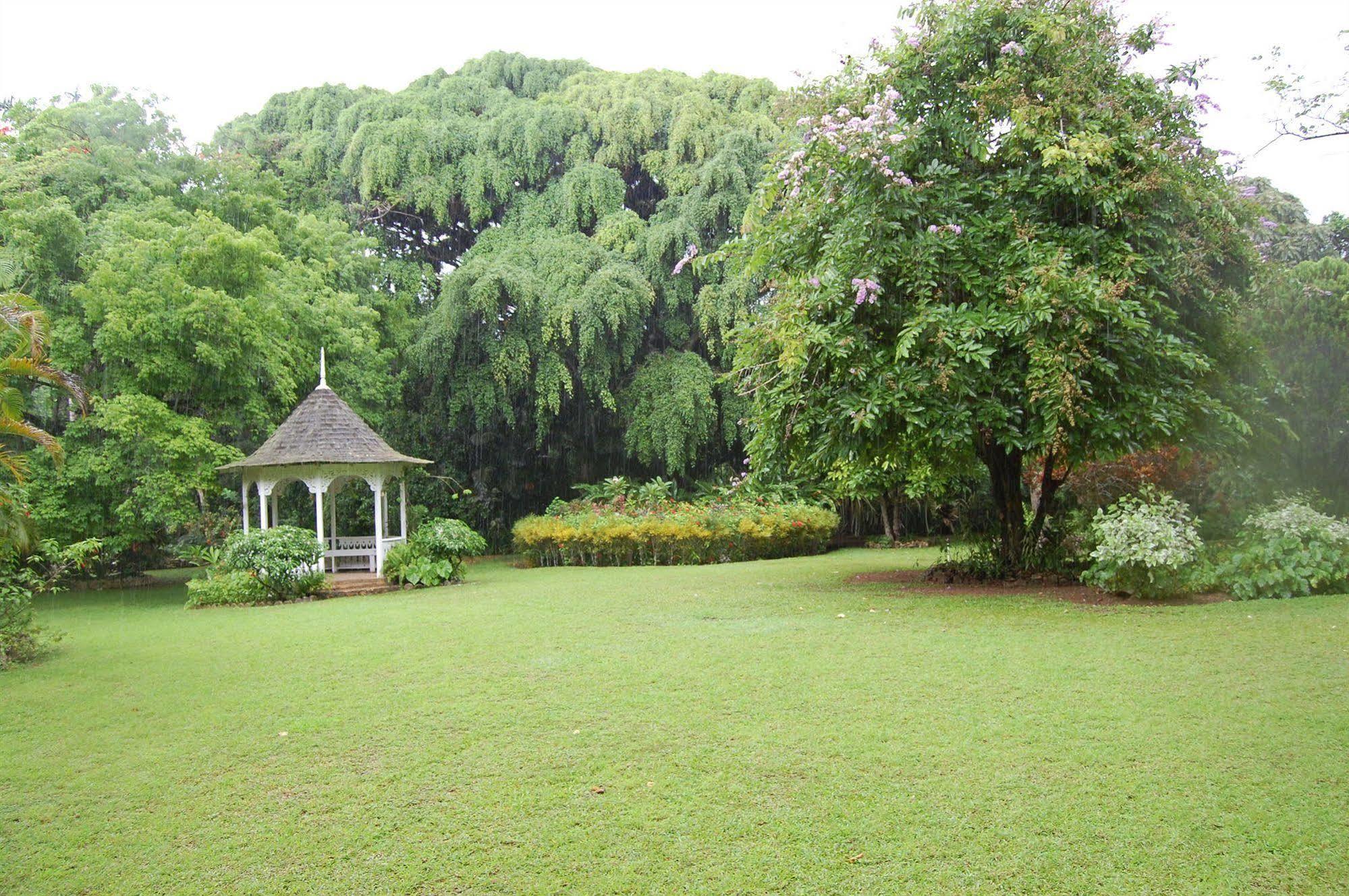 Inn At Shaw Park Gardens & Waterfalls Ocho Rios Eksteriør bilde