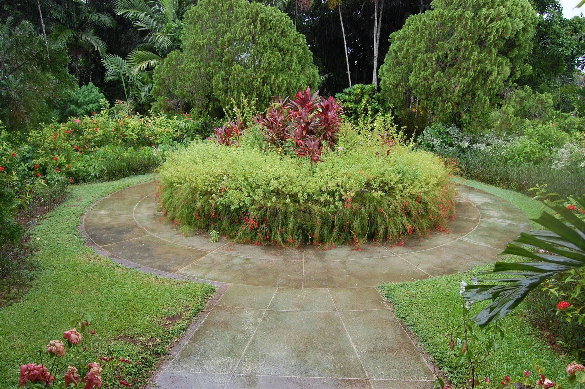 Inn At Shaw Park Gardens & Waterfalls Ocho Rios Eksteriør bilde